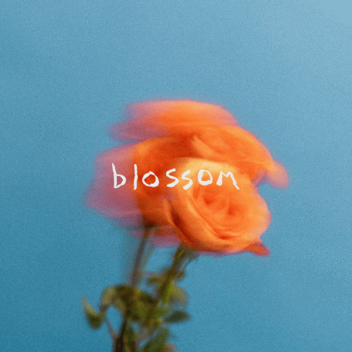 The Summer Set : Blossom